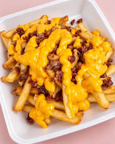 Bacon & cheese fries